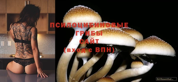 PSILOCYBIN Белоозёрский